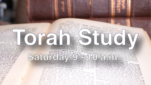 Banner Image for Torah Study